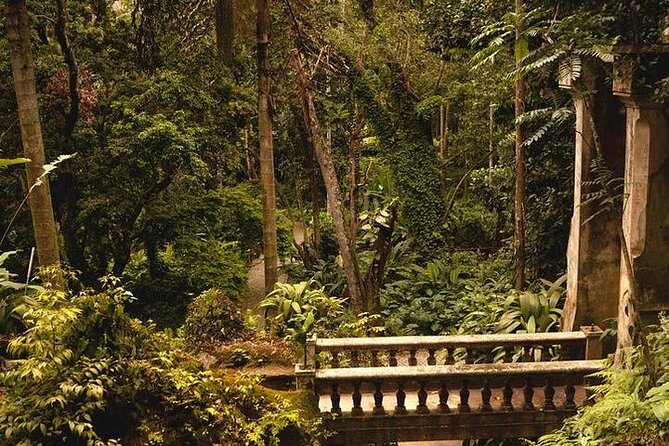 6-Hour Private Guided Tour in Rio De Janeiro - Experienced Guides