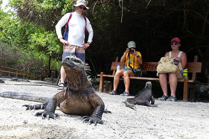 7-Day Galapagos Essentials - Weather and Wildlife