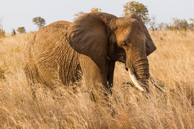 7-Day Great Migration Safari - Additional Activities
