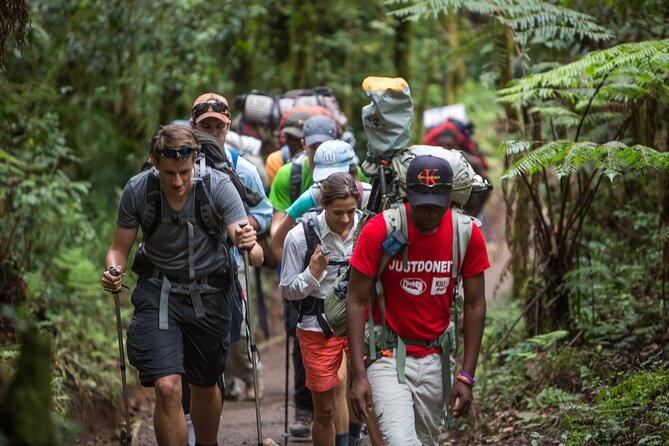 7-Day Machame Kilimanjaro Summit Tour From Arusha - Additional Services Offered