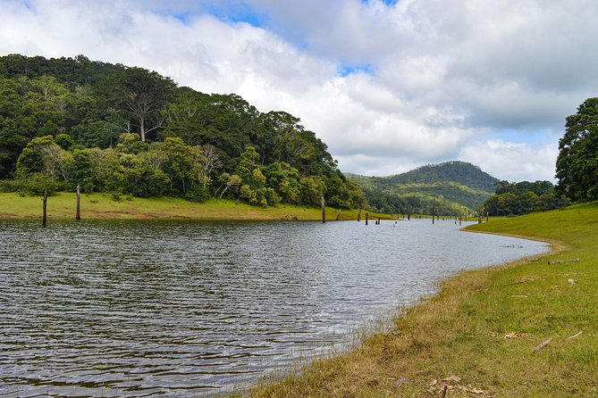 7 Days Kerala Tour- Munnar, Periyar, Houseboat & Varkala Beach - Houseboat Adventure