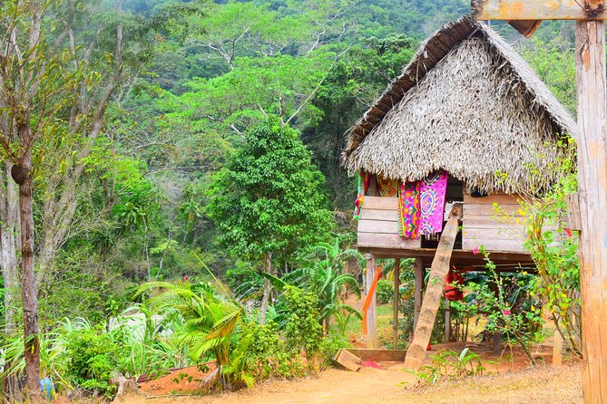 7 Hour Private Embera Community Tour in Chagres River - Natural Wonders