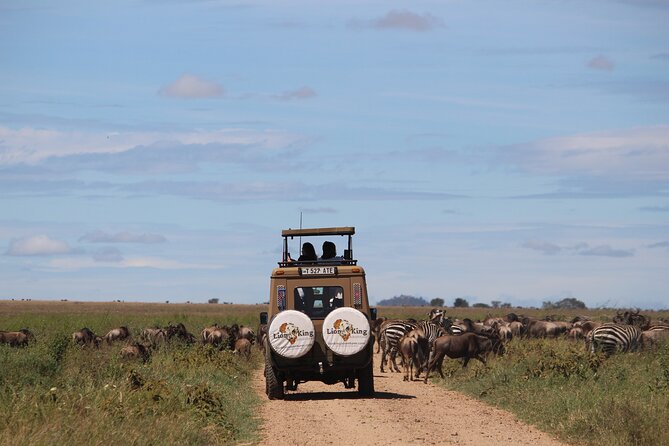 9-Day Serengeti Migration Footsteps Tanzania Safari - Travel Tips for Safari