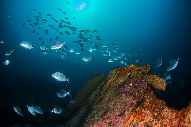 A Day at the Beach and Diving - Concluding the Experience