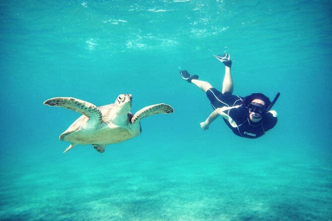 Abu Dabbab Beach Full Day Trip With Turtles - Participant Requirements