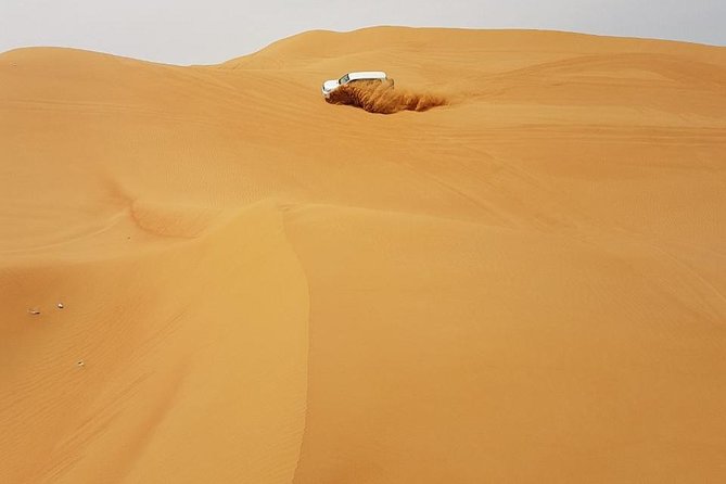 Abu Dhabi Desert Safari 4x4, BBQ Dinner, Camel Ride - Cancellation Policy