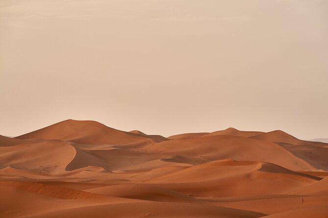 Abu Dhabi Evening Desert Safari Tour With Shows and BBQ Dinner - Memorable Experiences and Highlights