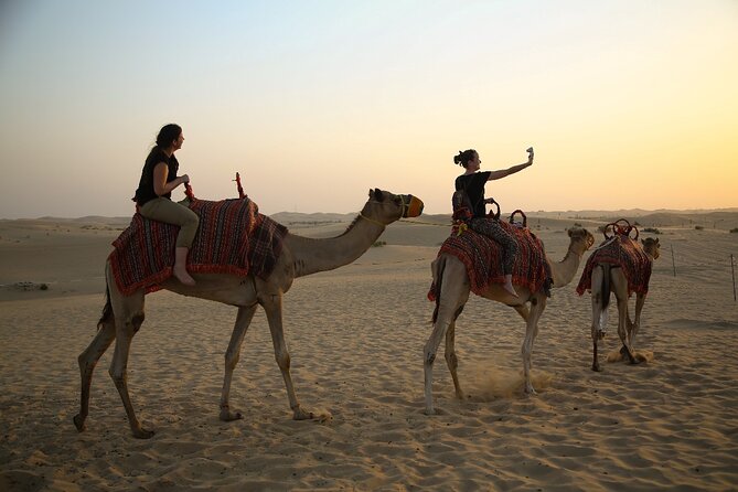 Abu Dhabi Half Day Desert Safari - Accessibility Information