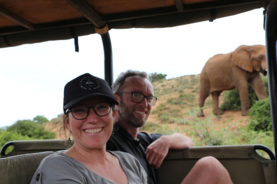 Addo Elephant National Park Game Drive Day Tour With Lunch - Traditional South African Lunch