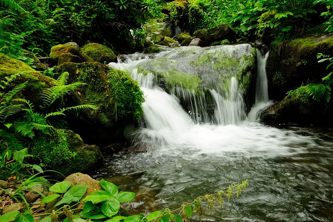 Adjarian Mountains Waterfalls Wine Tour Best Views From Batumi Kobuleti - Breathtaking Mountain Views