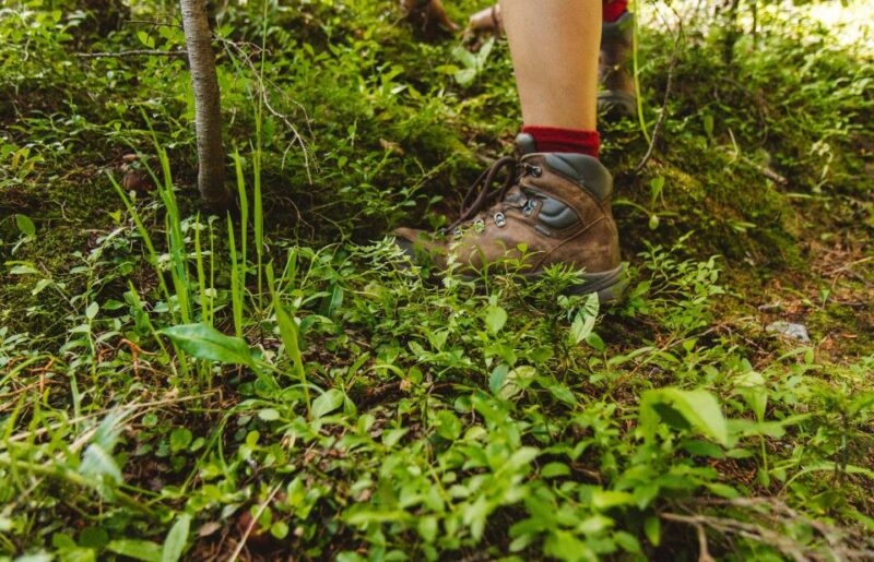 Adventure Experience C in Kitulgala - Frequently Asked Questions