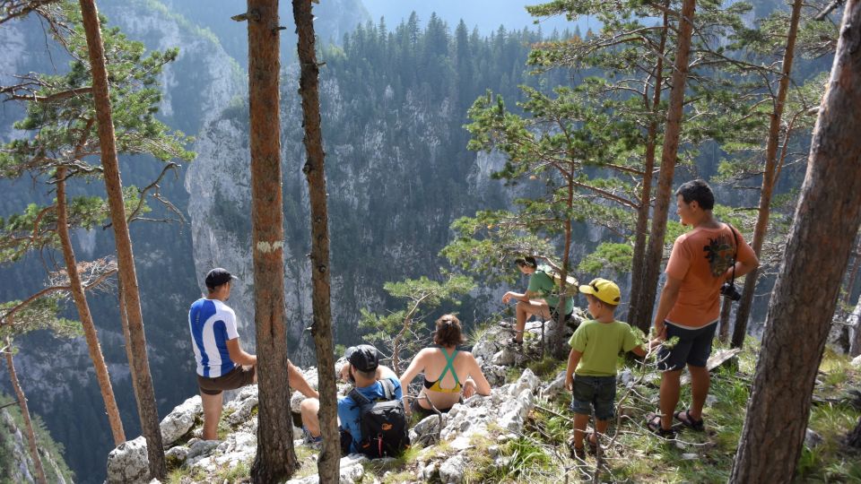 Adventure Trip From Iasi: Hiking in the Carpathian Mountains - Best Time to Visit