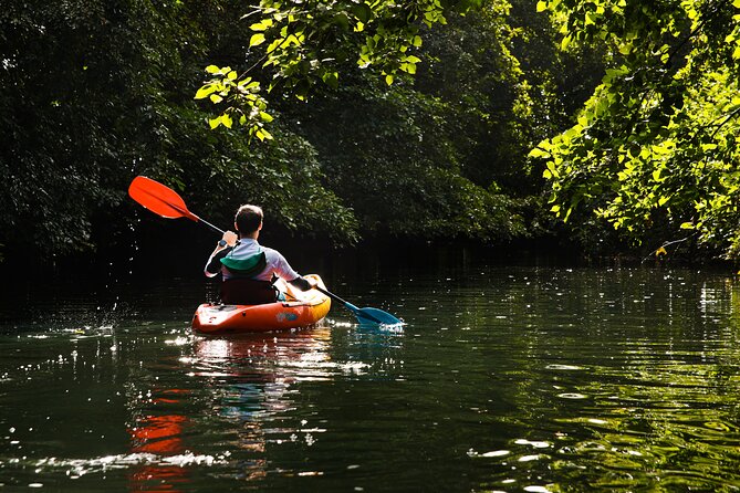 Afternoon Guided Kayak Tour on the Tamarin River - Guided Exploration Highlights