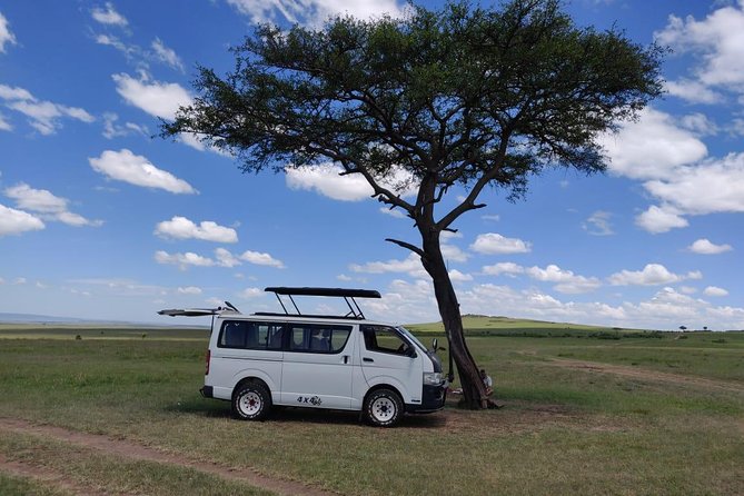 Afternoon Half Day Mini Safari to Nairobi National Park - Meeting Point and Pickup