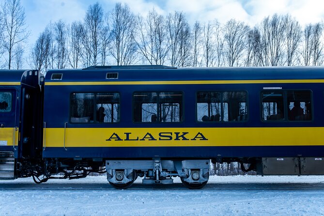 Alaska Railroad Aurora Winter Fairbanks to Anchorage One Way - Booking Options