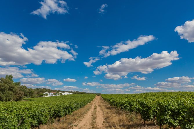 Alentejo Wine Tour From Évora - Cancellation and Refund Policy