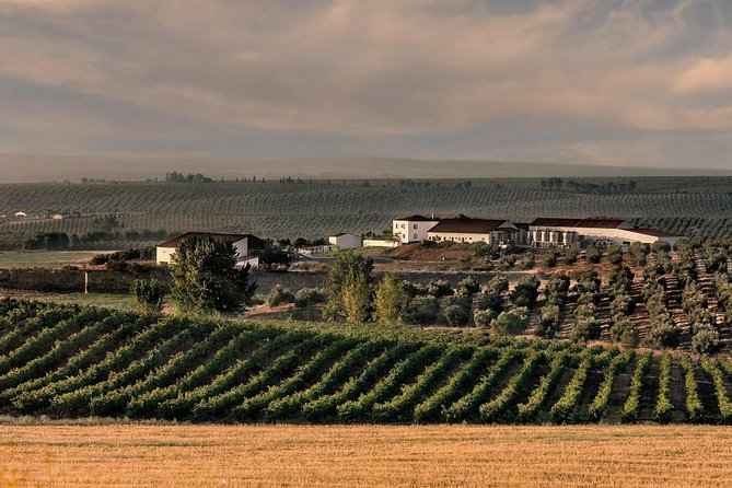 Alentejo Wine Tour From the Algarve - Booking and Additional Details