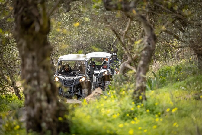 Algarve Buggy or Quad Tour Review - Since You Asked