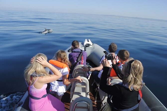 Algarve Dolphin Watching & Marine Life Eco Tour - Booking and Cancellation Policies
