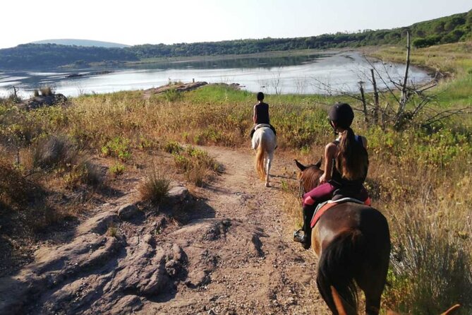 Alghero: Guided Horseback Ride at Lake Baratz & Porto Ferro - Beautiful Scenery and Riding Trails