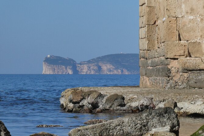 Alghero: Private Sightseeing & Wine Experience - Savor Local Culinary Delights