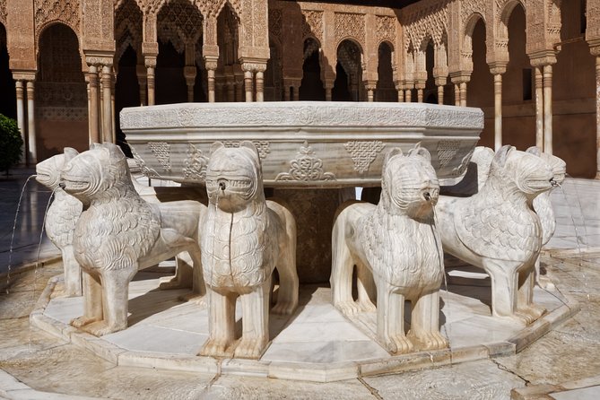 Alhambra of Granada (Skip-the-line) Guided Tour - Customer Reviews and Feedback