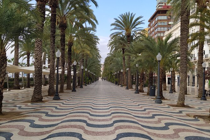 Alicante Highlights Private Tour With Castle - Reviews and Feedback