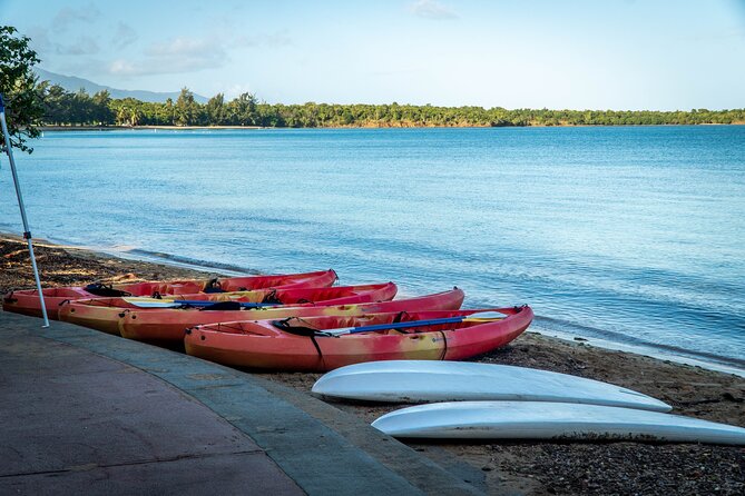 All Day PaddleBoard Rental - Exploring the Natural Reserve