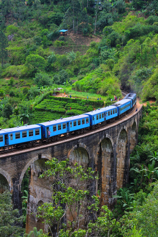 All in Sri Lanka 7-Days Tour, History, Culture, Nature - Important Information