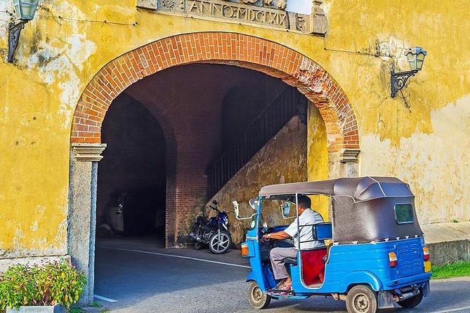 All Inclusive Galle Day Tour From Colombo & Negombo - Company Profile and Reputation