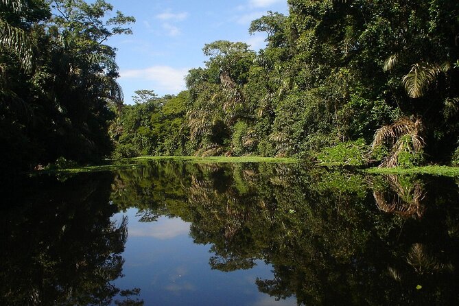 All-Inclusive Package in Tortuguero 2 Days 1 Night - Inclusions