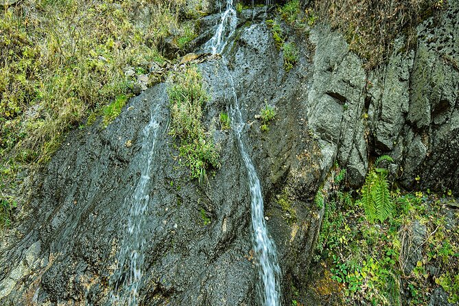 Alma-Arasan Gorge Tour - Health and Accessibility