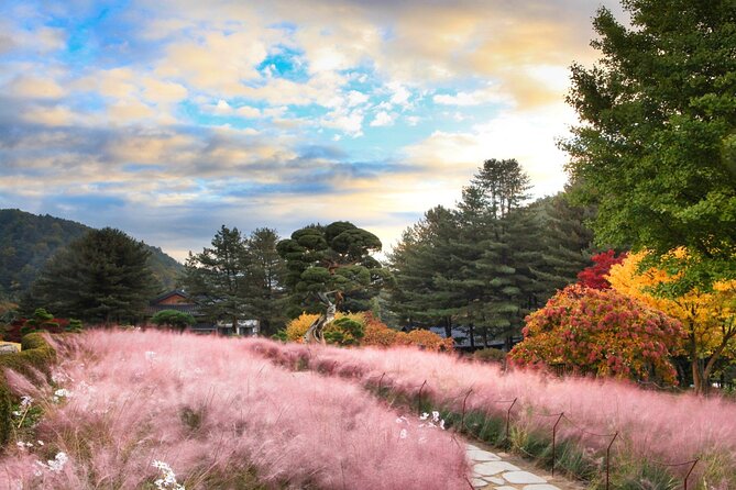 Alpaca World Tour With Nami Island & Optional Railbike or Garden - What to Expect