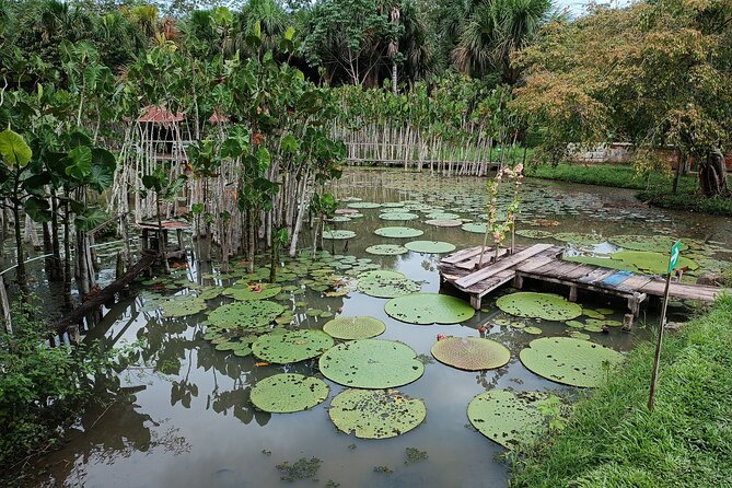 Amazon River Adventure Full Day Tour - Highlights of the Adventure