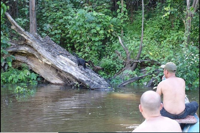 Amazon Wildlife Excursions 2/ Days /1 Night 280 Usd - Accessibility