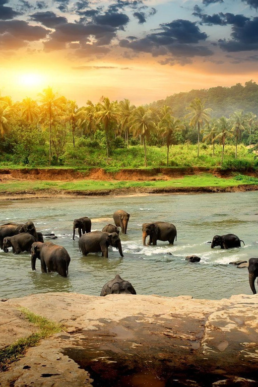 Ambuluwawa Tower and Pinnawala Eliphant Orphanage Day Tour - Tour Duration and Group Size