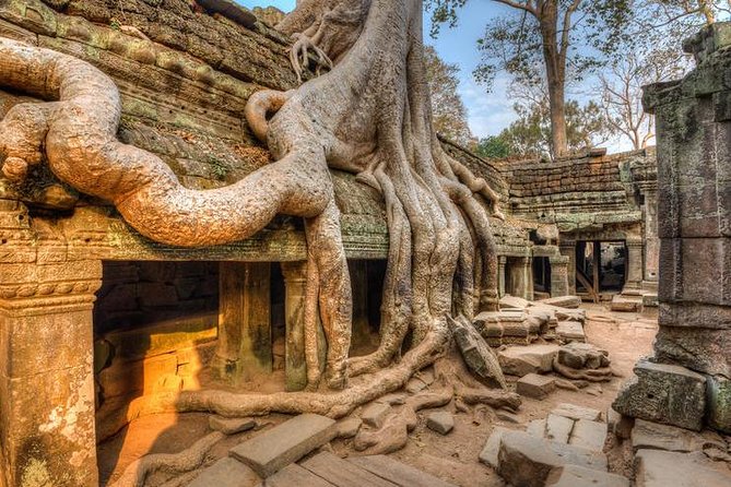 Angkor Wat Small Tours And Sunset - Reviews and Ratings Summary