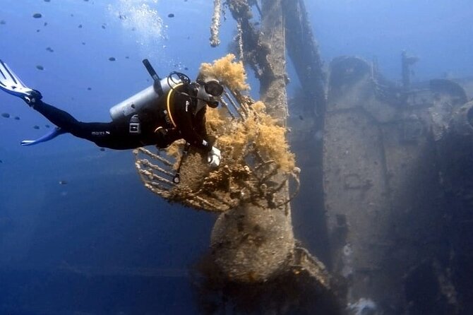 Aqaba Private Scuba Diving Activity With Pick up - Accessibility Features