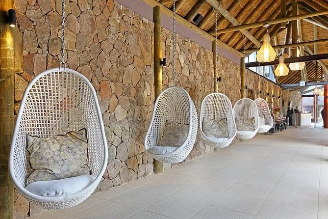 Aquila Day Safari - With Transport - Highlights From Guest Reviews