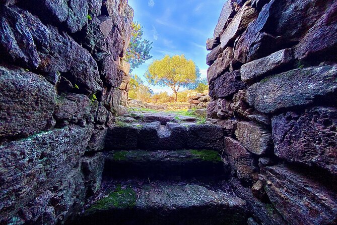 Archaeological Sites and Monuments in Sardinia: Small Group - Customer Reviews