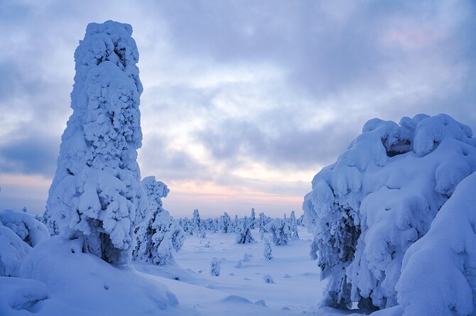 Arctic Adventure Through Magical Frozen Forests of Riisitunturi - Exploring Beyond the City