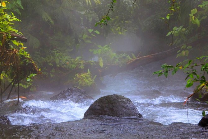 Arenal Observatory Hike + Hot Springs - Learning About Arenals Biodiversity