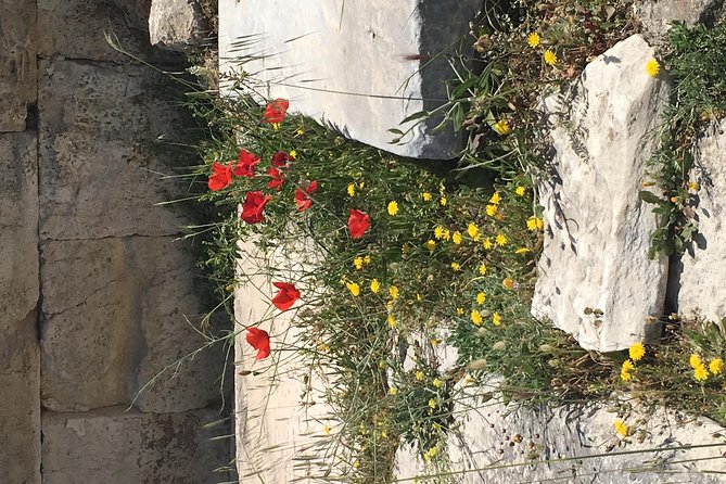Athens Shore Excursion: Private City Sightseeing and Acropolis Tour - Customer Feedback