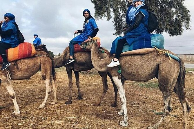 Atlas Mountain & Berber Villages and Waterfalls Day Trip From Marrakech - Traveler Reviews