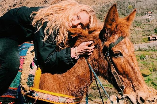 Atlas Mountains Day Trip With Camel Ride From Marrakech Including Lunch - Transportation Logistics