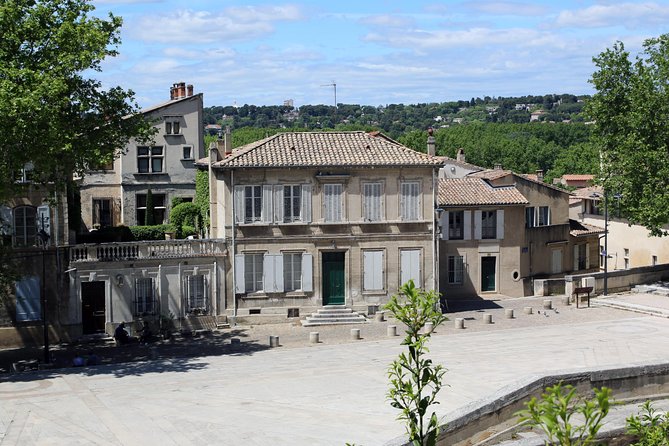Avignon Half-Day Private Walking Tour, History, Culture, Markets - Immersive Cultural Experience