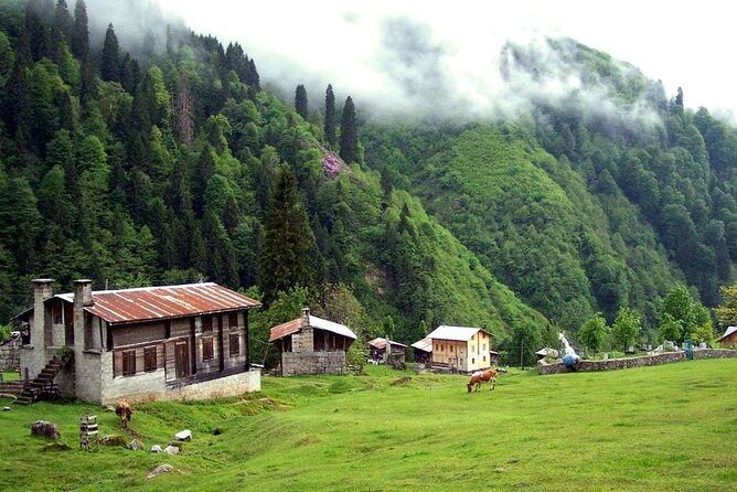 Ayder Tour With FıRtıNa Valley Adventure: Full-Day Experience - Customer Testimonials