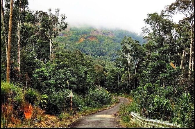 Ba Ho Waterfalls ( Trekking + Swimming + Jumping +Amazing Nature) - Booking and Accessibility