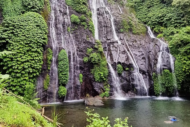 Bali Car Charter English Speaking Driver for 2 Days - Guest Reviews and Experiences