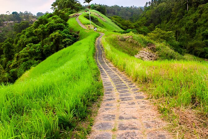 Bali Full-Day Car Charter: All About Ubud Village Trip Experience - Customer Experiences